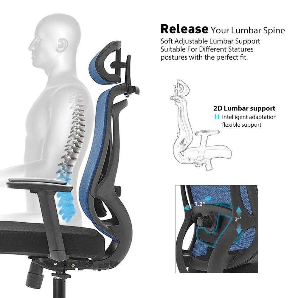 Student Ergonomic Office Chair - DLB Furniture