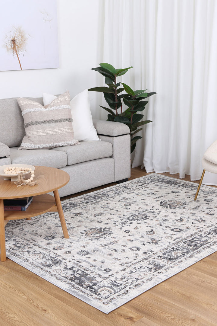 Modern living room with patterned area rug, light grey sofa, coffee table, and indoor plant