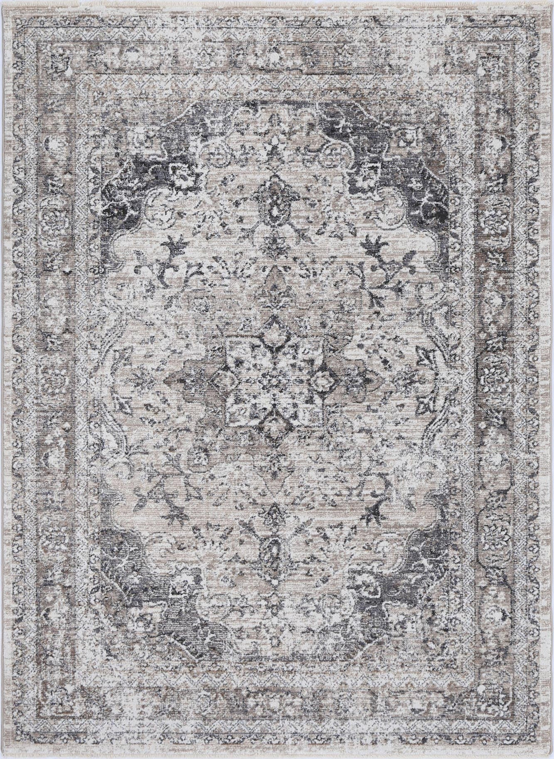 Traditional area rug with ornate floral and medallion pattern in neutral tones