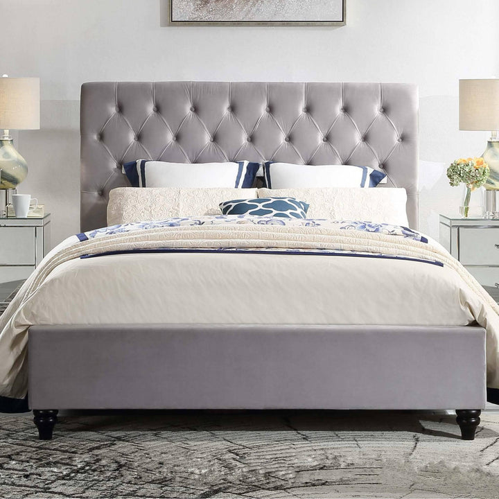 Colima Velvet Queen Bed Frame - DLB Furniture