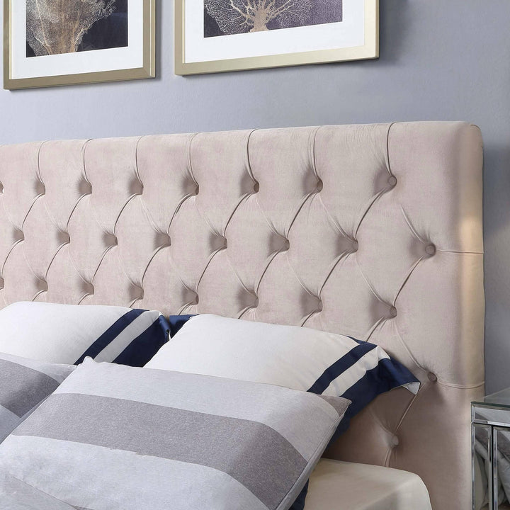 Colima Velvet Bed Head - DLB Furniture